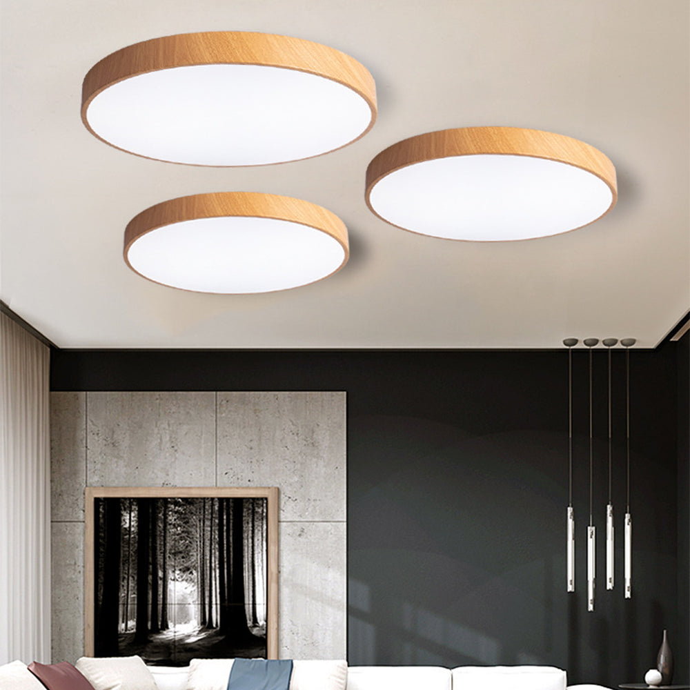 Modern Concise Iron LED Ceiling Light