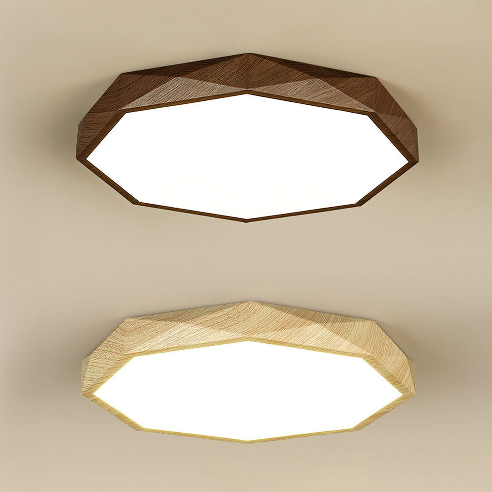 Modern Dimmable LED Ceiling Light