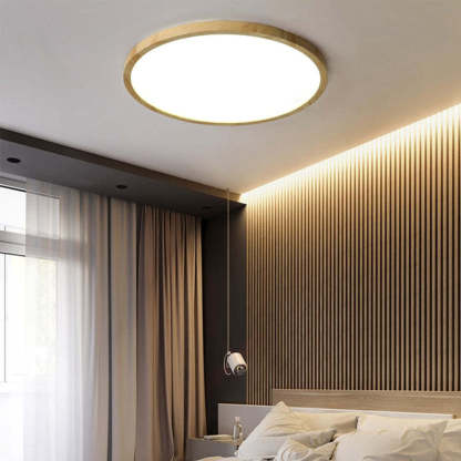 Nordic Round Simple Modern Ceiling Lamp