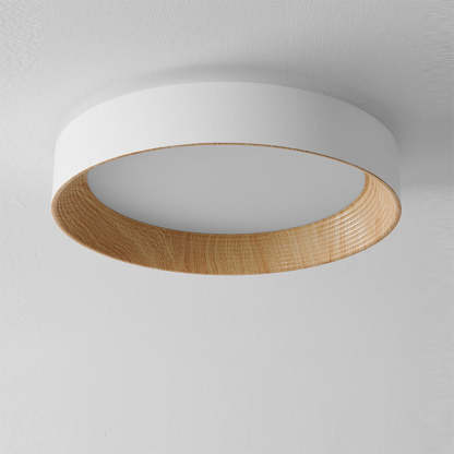 Modern LED Ceiling Light For Bedroom