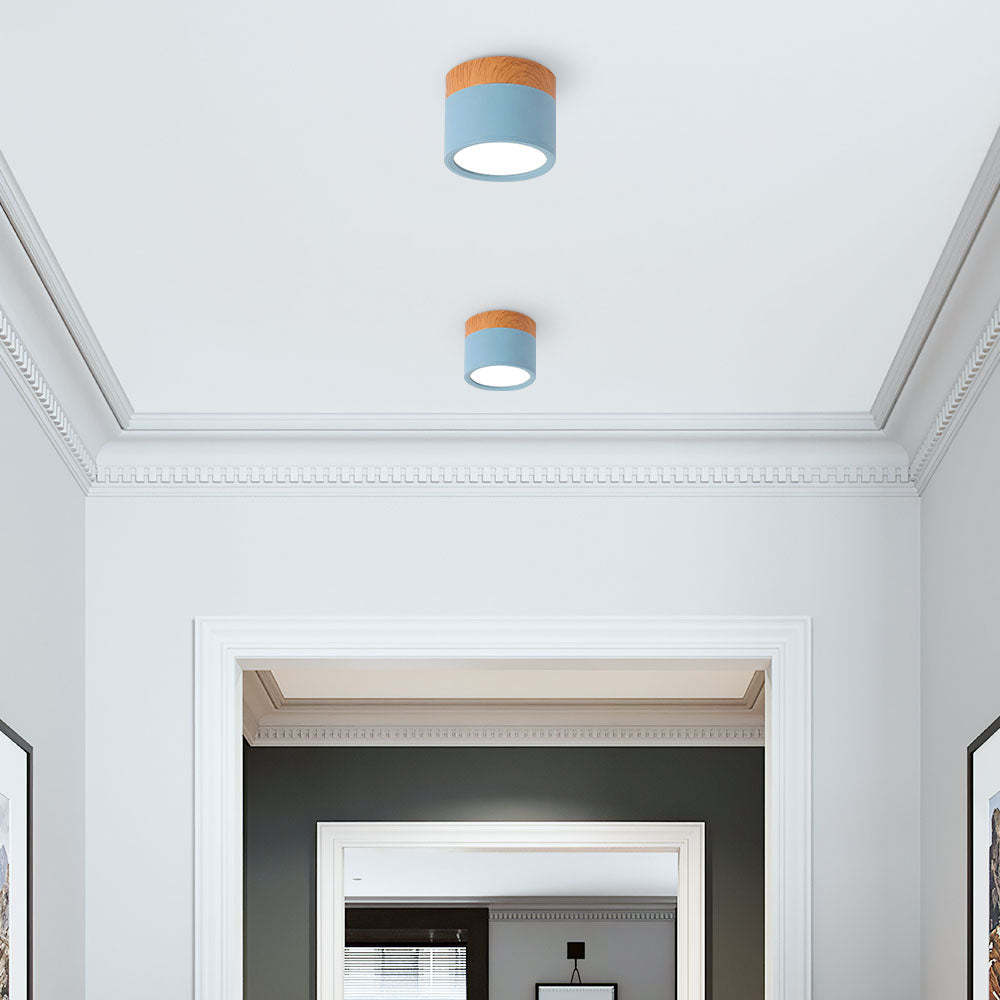 Cylinder Small Hallway Flush Ceiling Lamp For Living Room