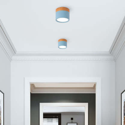 Cylinder Small Hallway Flush Ceiling Lamp For Living Room