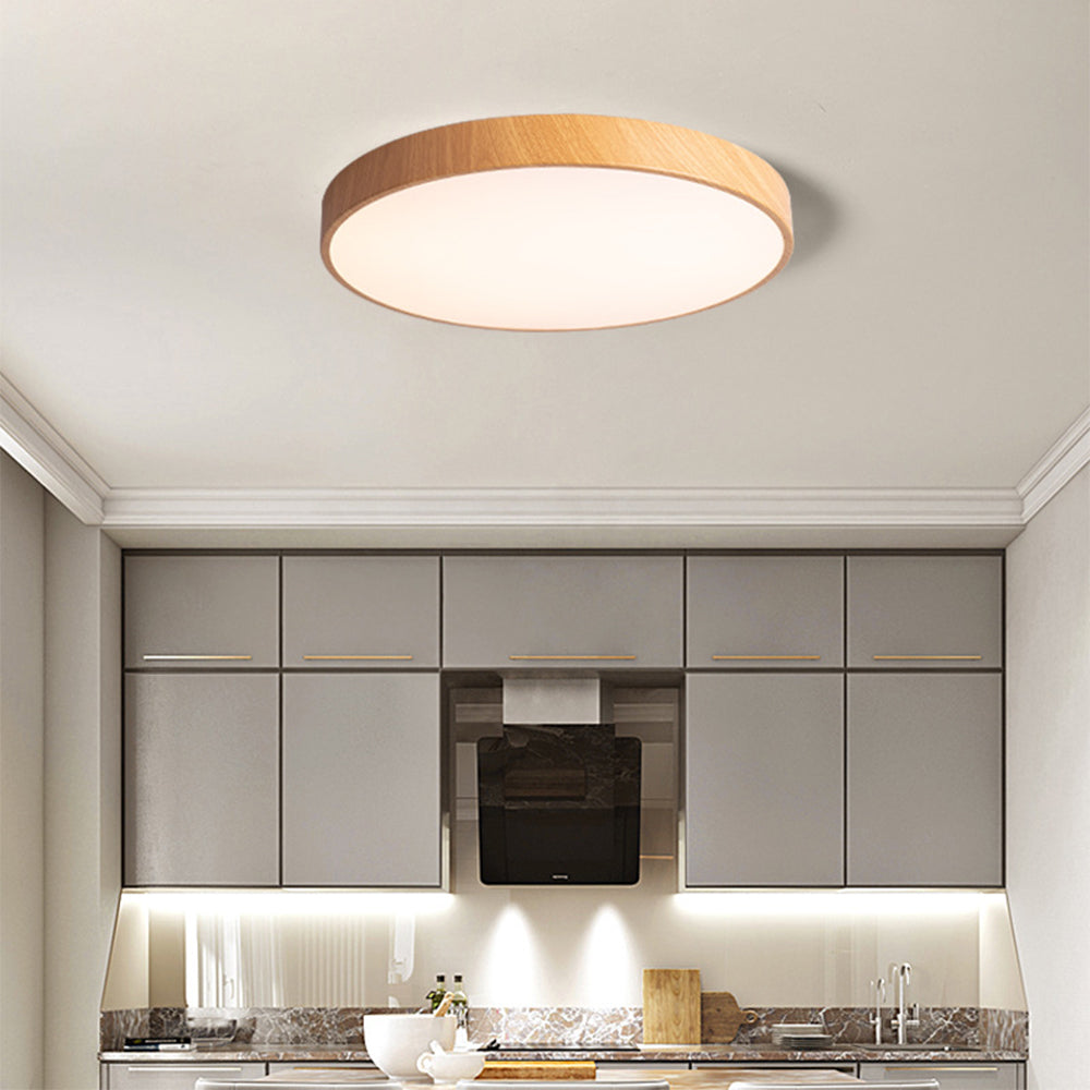 Modern Concise Iron LED Ceiling Light