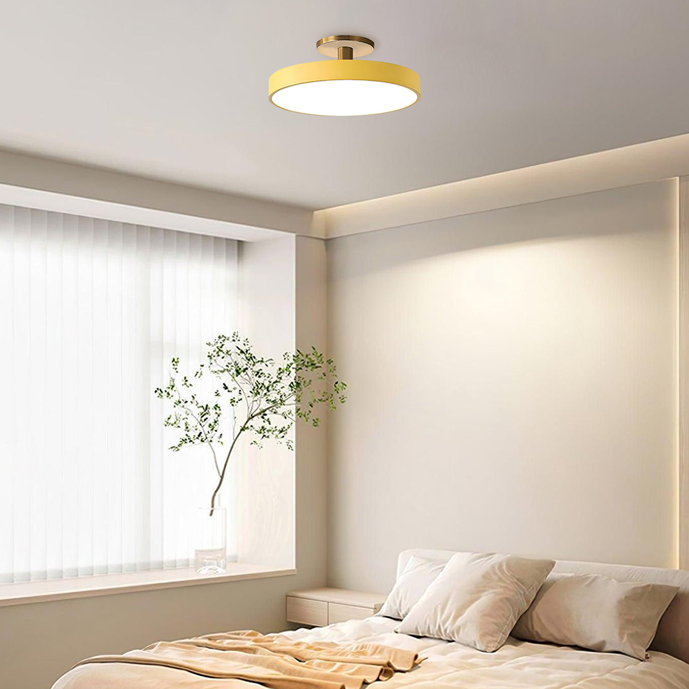 Modern Colored LED Round Ceiling Light