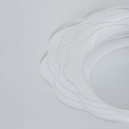 Creative Flower Acrylic Hallway LED Ceiling Light