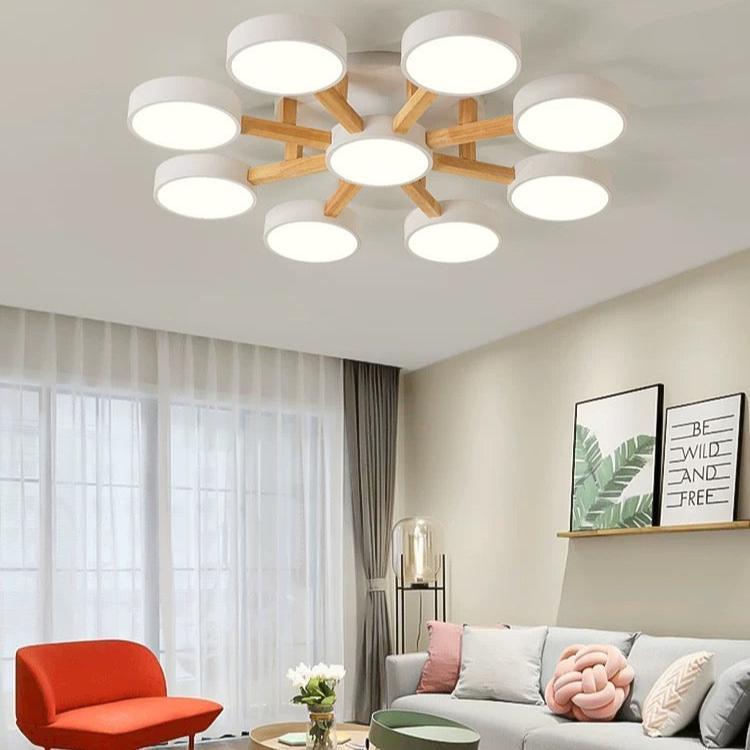Nordic Modern Acrylic LED Living Room Ceiling Light