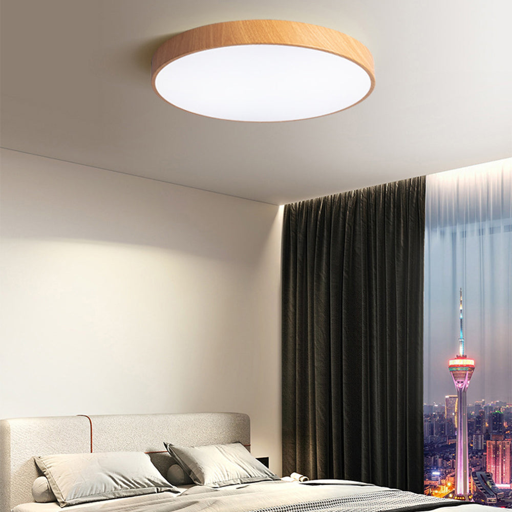 Nordic Round Simple Modern Ceiling Lamp