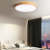 Homdiy Modern Simple Ceiling Light Flush Mount Bedroom LED Ceiling Lights