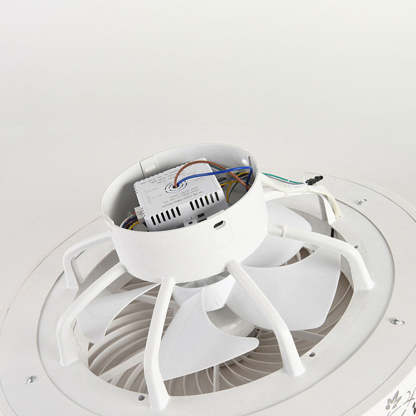 Modern Minimalism Wood Ceiling Fans With LED Lights