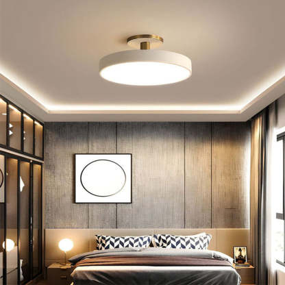 Simplicity Round Flush Mount Ceiling Light