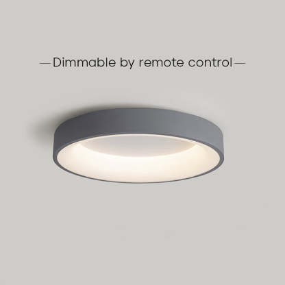 Modern Minimal Decor Round LED Ceiling Light for Living Room