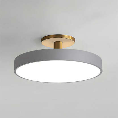 Simplicity Round Flush Mount Ceiling Light