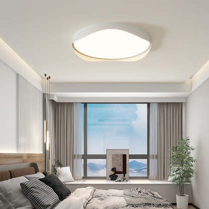 LED Bulbs Modern Ceiling Lights
