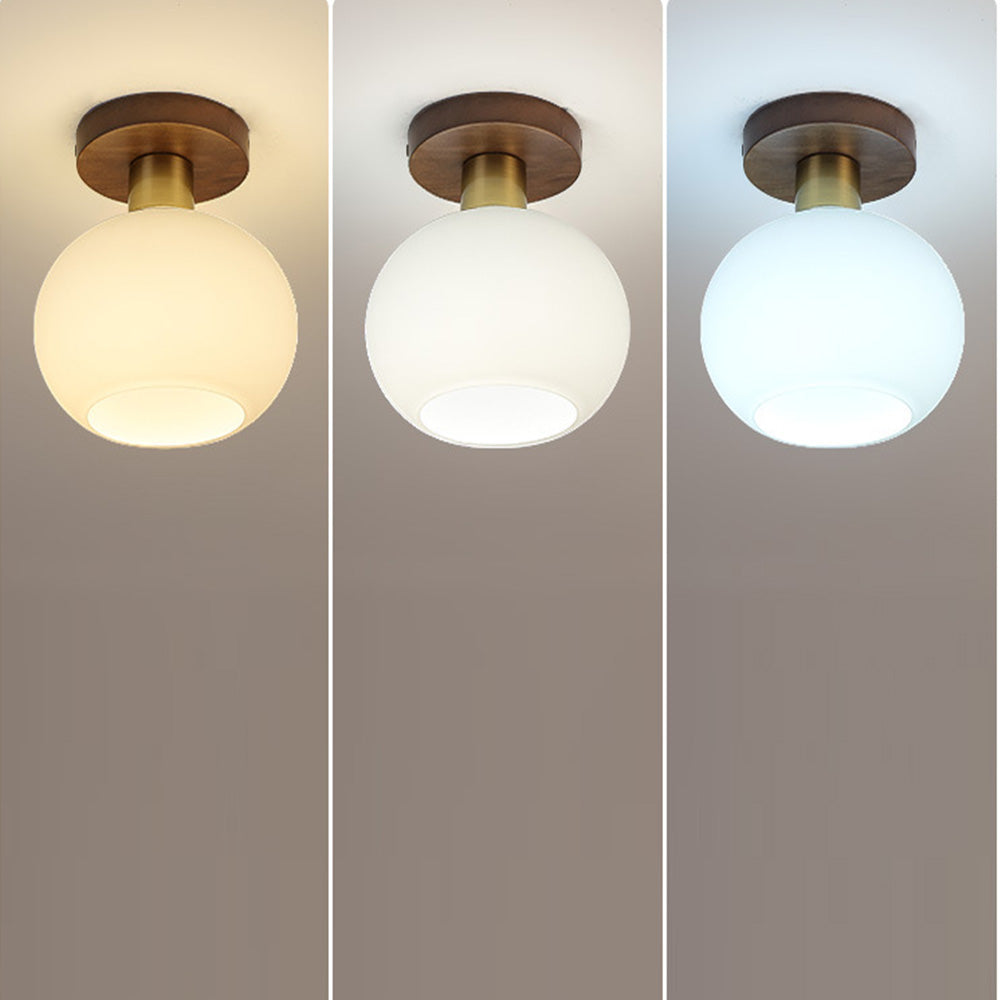 Nordic Walnut Minimalist Hallway Semi-Flush Ceiling Light