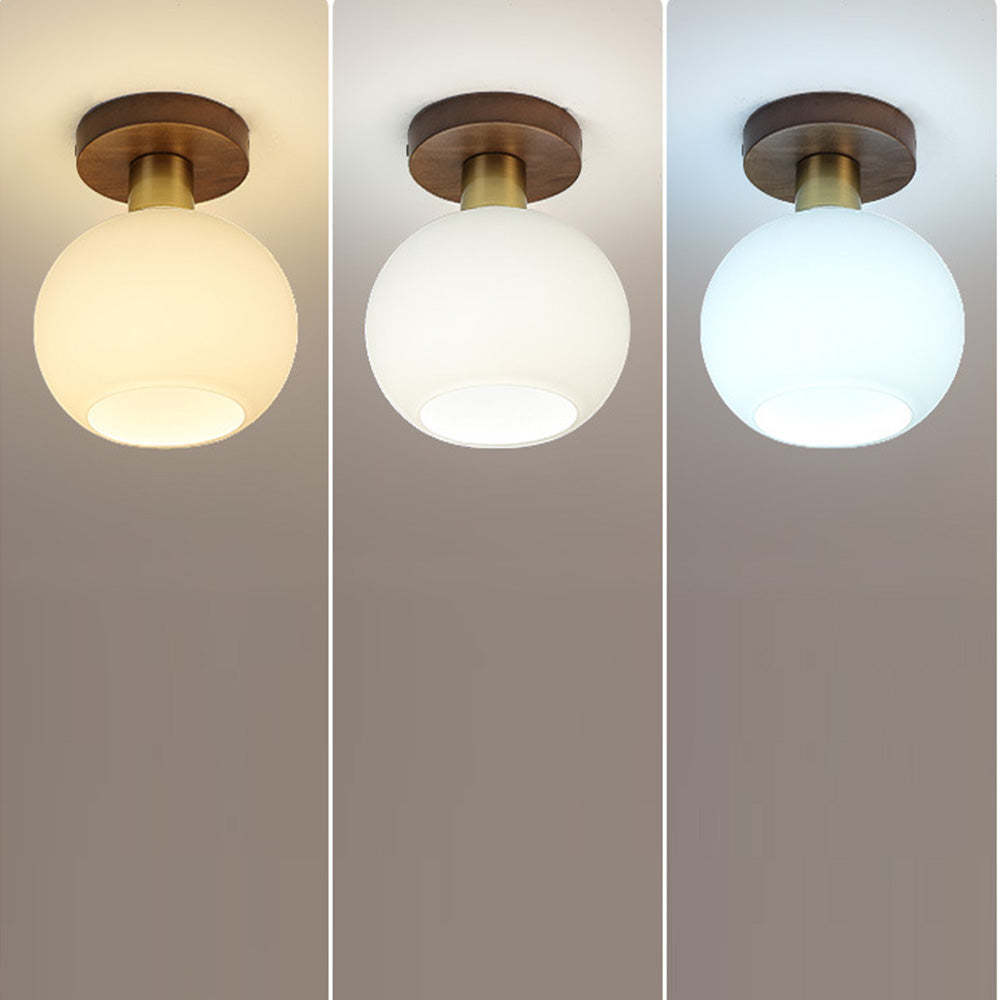 Nordic Walnut Minimalist Hallway Semi-Flush Ceiling Light