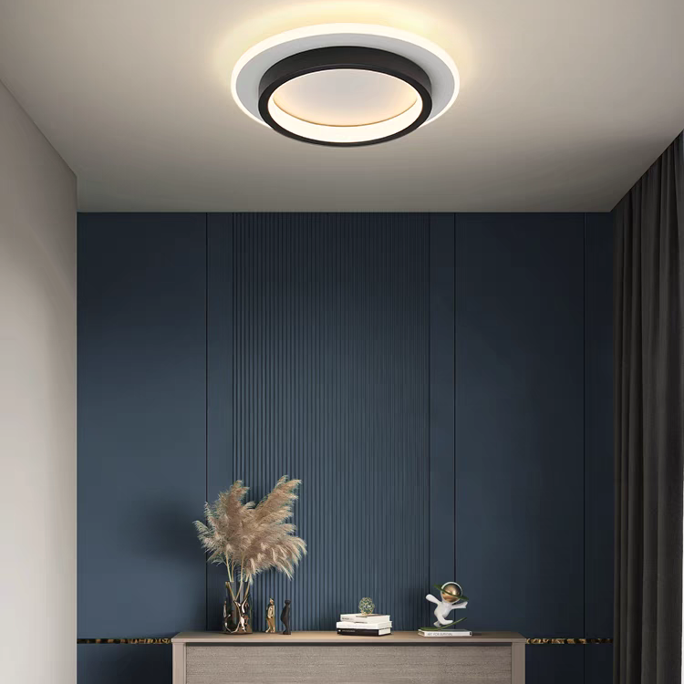 Simple Metal LED Living Room Ceiling Lights