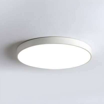 Round LED Flush Mount Ceiling Light