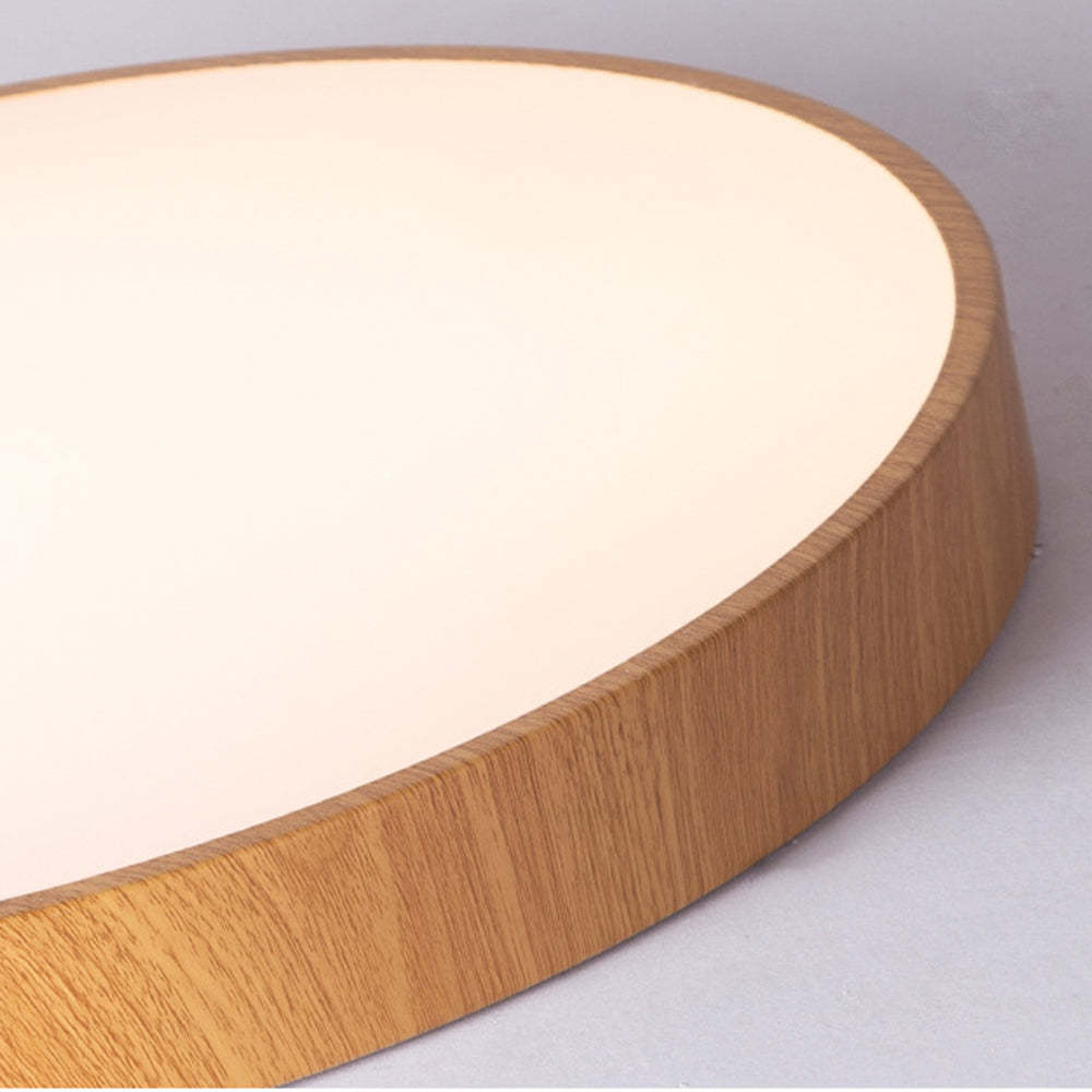 Modern Concise Iron LED Ceiling Light