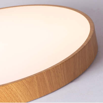 Modern Concise Iron LED Ceiling Light