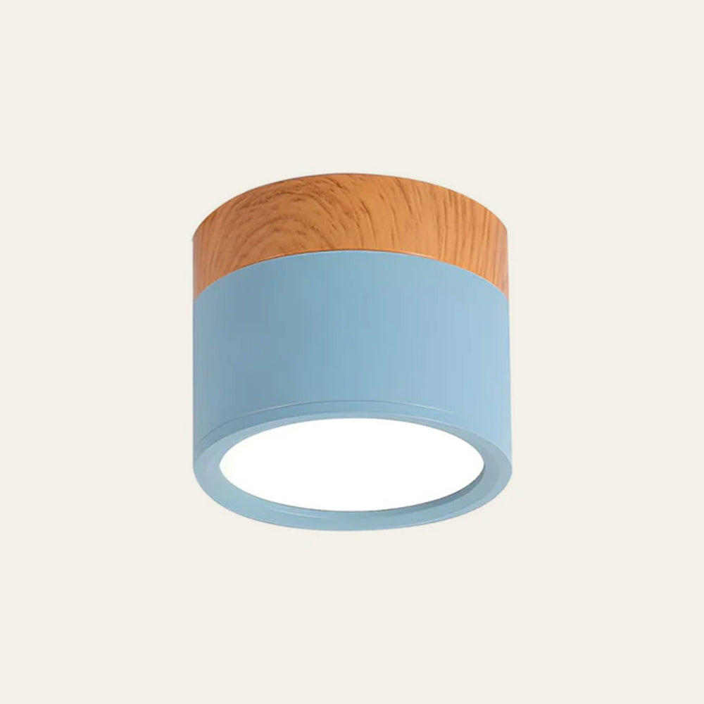 Cylinder Small Hallway Flush Ceiling Lamp For Living Room