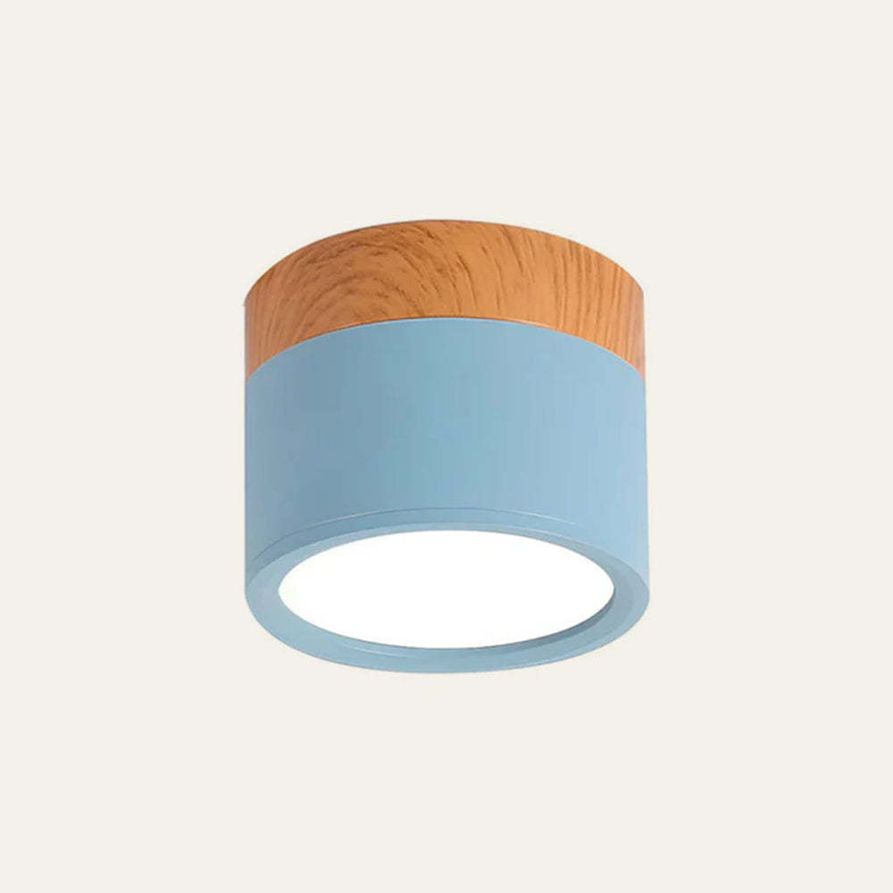 Cylinder Small Hallway Flush Ceiling Lamp For Living Room