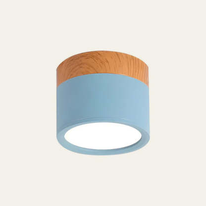 Cylinder Small Hallway Flush Ceiling Lamp For Living Room