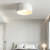 Homdiy modern Ceiling Light Modern Simple Style Flush Iron Ceiling Lamp
