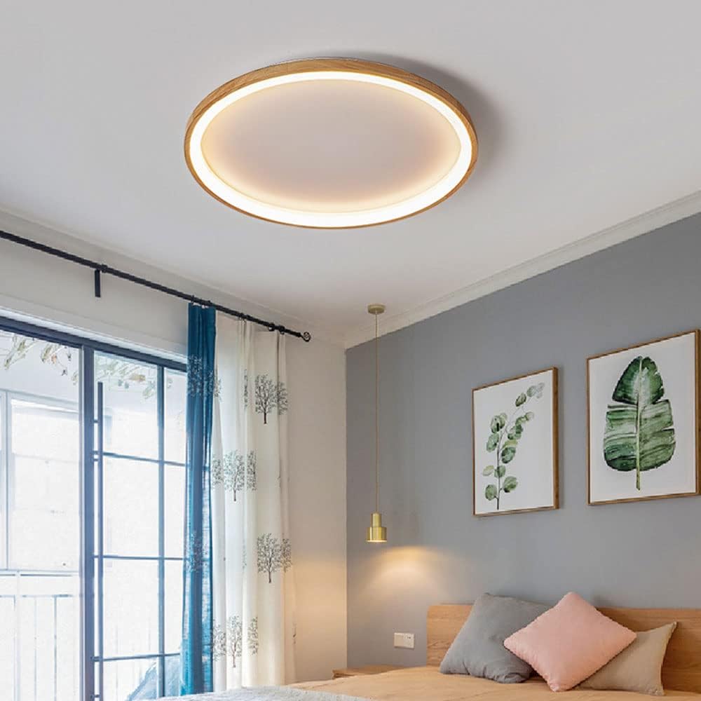 Organic Round Living Room LED Ceiling Lights