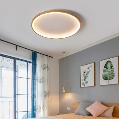 Organic Round Living Room LED Ceiling Lights