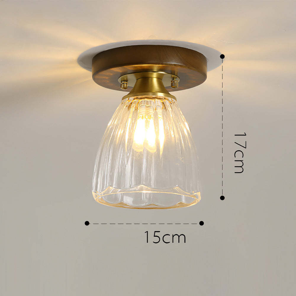 Contemporary Glass Ceiling Lights For Living Room