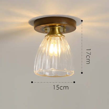 Contemporary Glass Ceiling Lights For Living Room