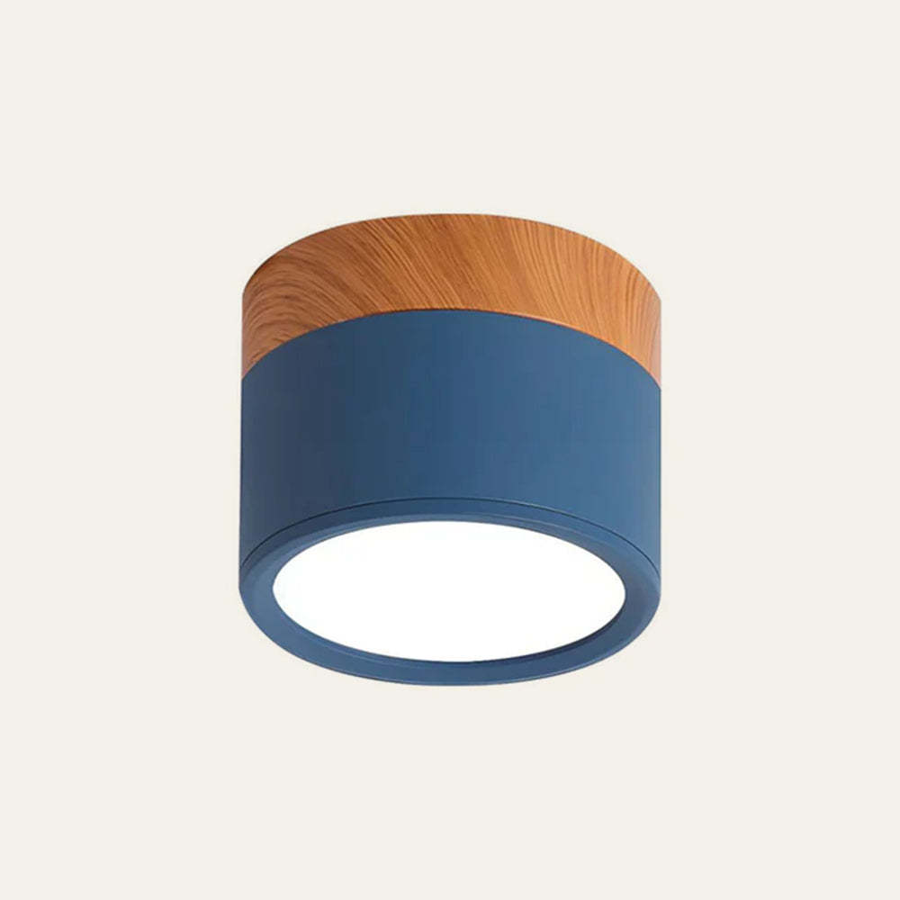 Cylinder Small Hallway Flush Ceiling Lamp For Living Room