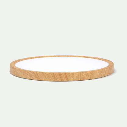 Nordic Round Simple Modern Ceiling Lamp