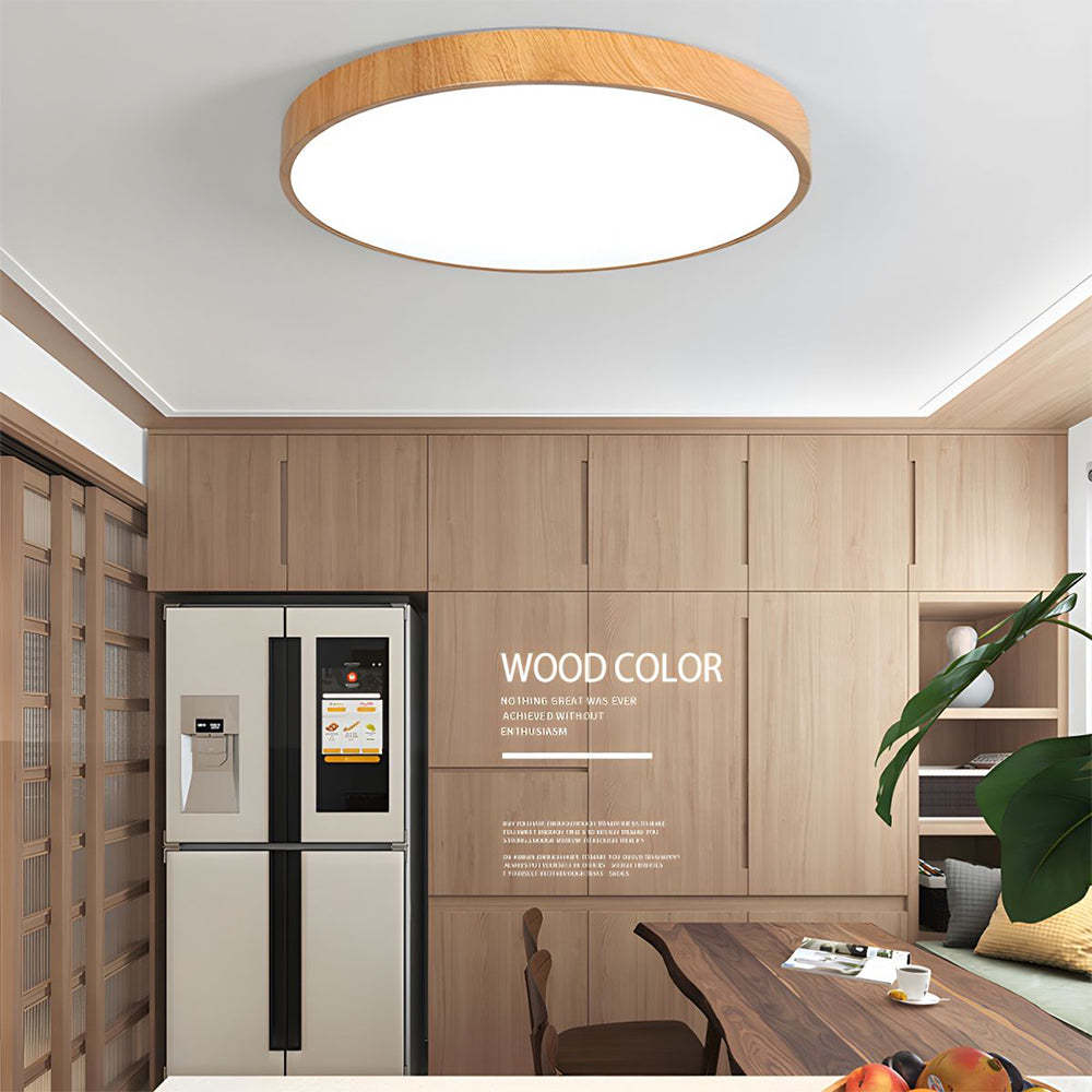 Modern Concise Iron LED Ceiling Light