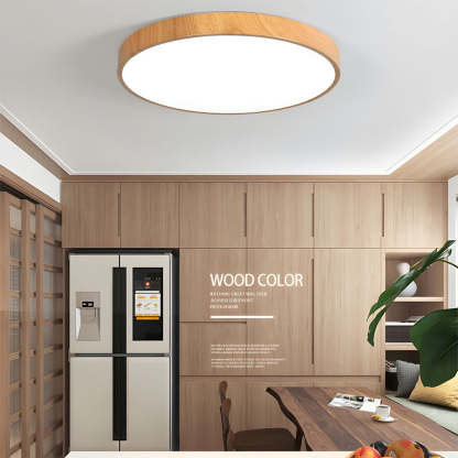 Modern Concise Iron LED Ceiling Light