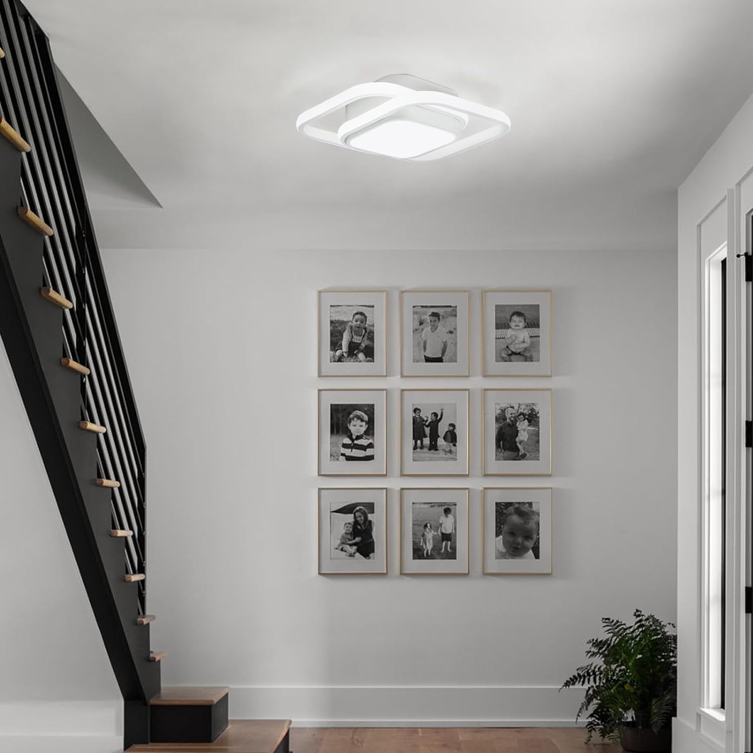 Double Ring Simple LED Ceiling Lamp