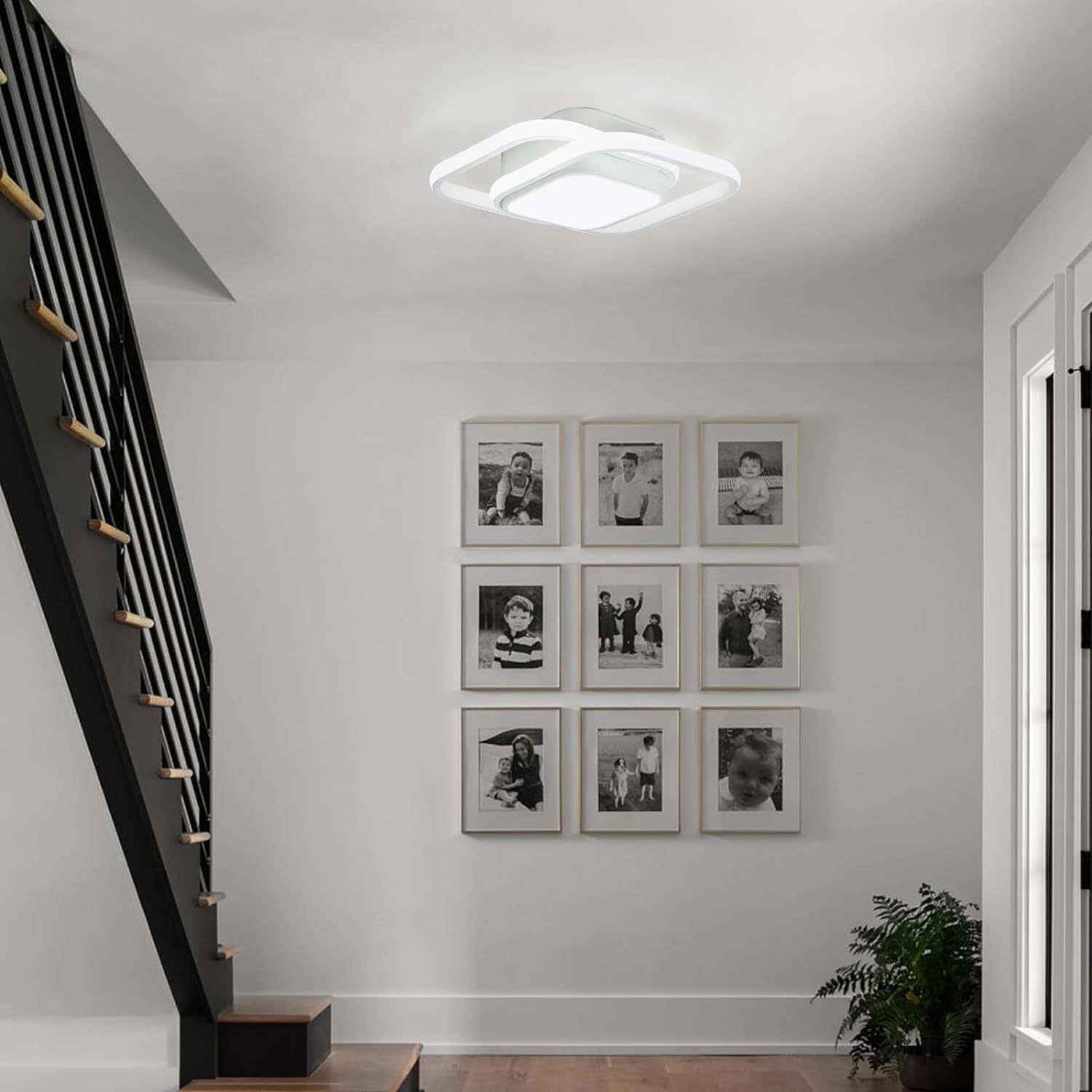 Double Ring Simple LED Ceiling Lamp