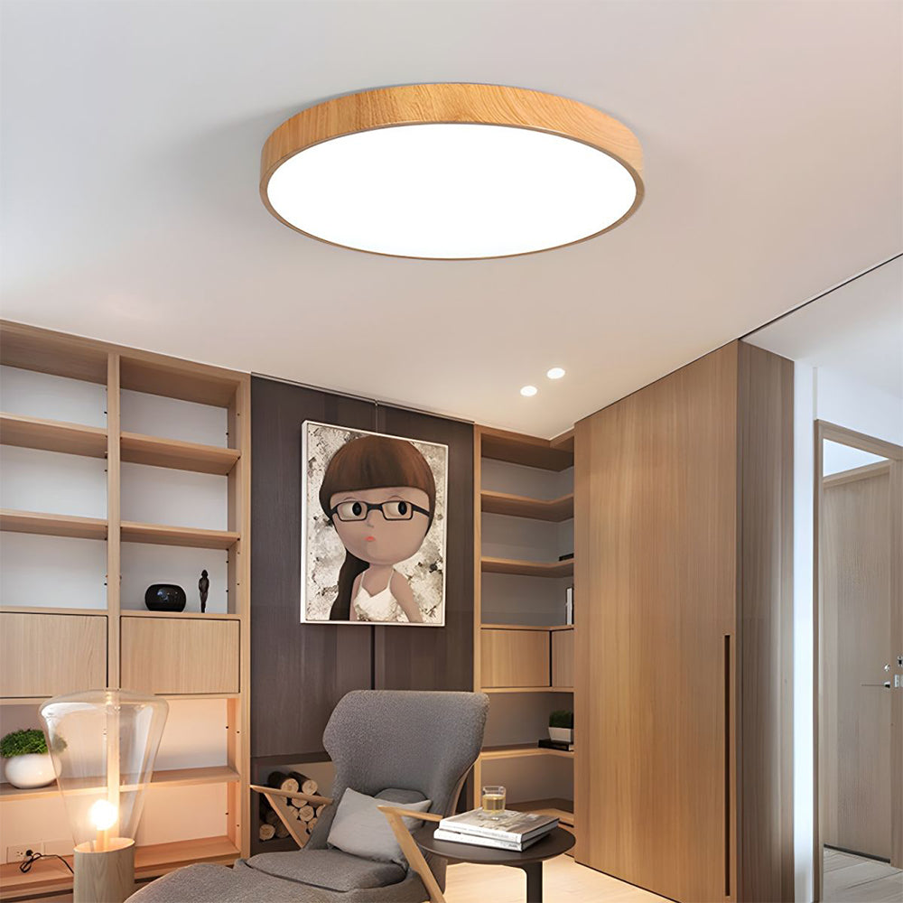 Modern Concise Iron LED Ceiling Light
