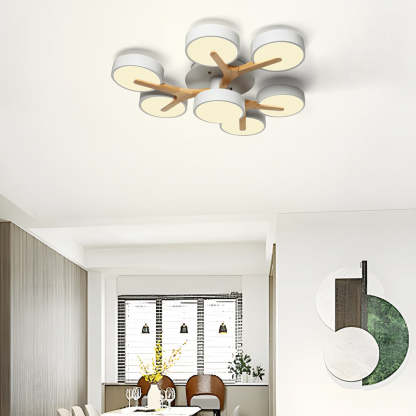 Contemporary Stylish Acrylic Living Room LED Ceiling Lights