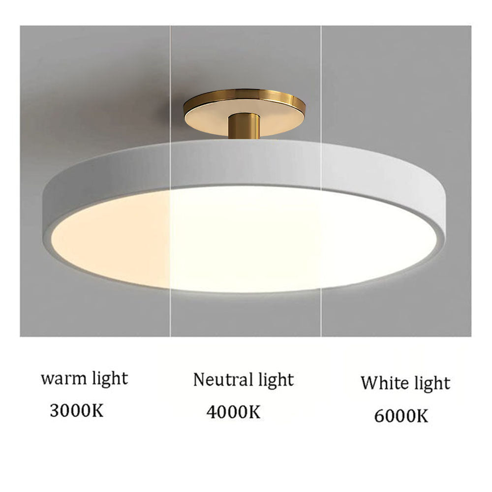 Simplicity Round Flush Mount Ceiling Light