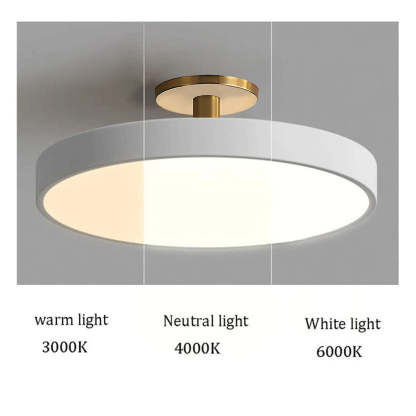 Simplicity Round Flush Mount Ceiling Light