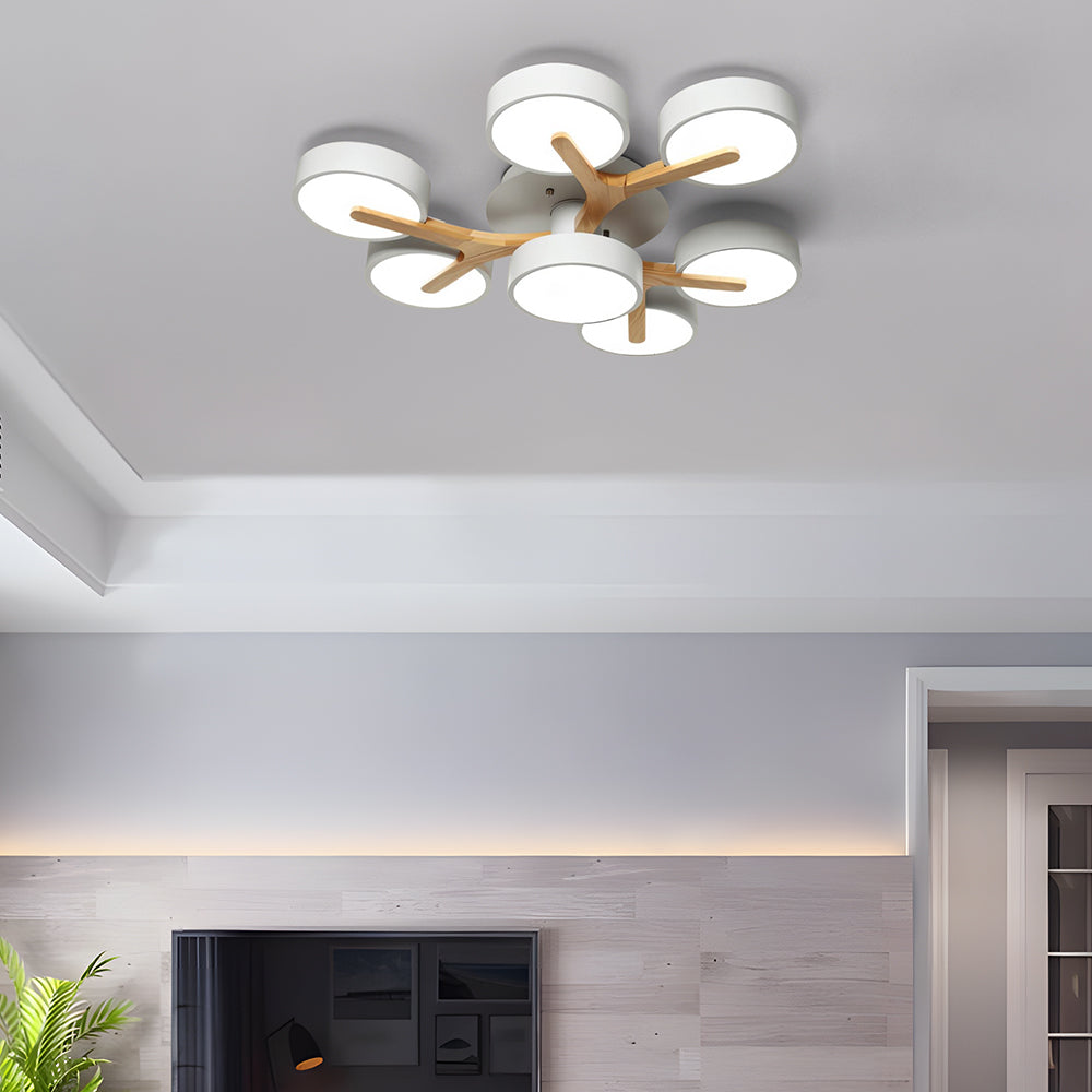 Contemporary Stylish Acrylic Living Room LED Ceiling Lights