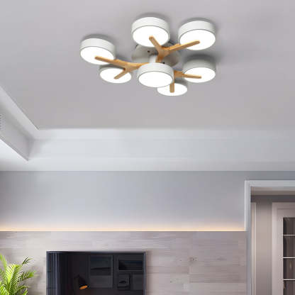 Contemporary Stylish Acrylic Living Room LED Ceiling Lights