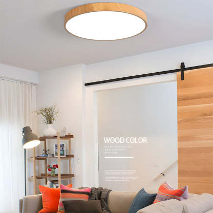 Modern Concise Iron LED Ceiling Light