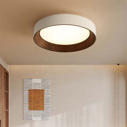 Modern LED Ceiling Light For Bedroom