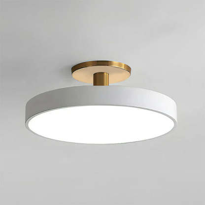 Simplicity Round Flush Mount Ceiling Light