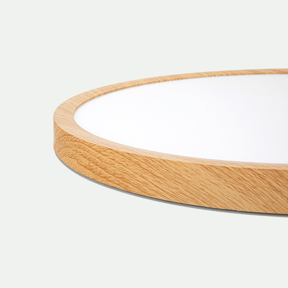Nordic Round Simple Modern Ceiling Lamp