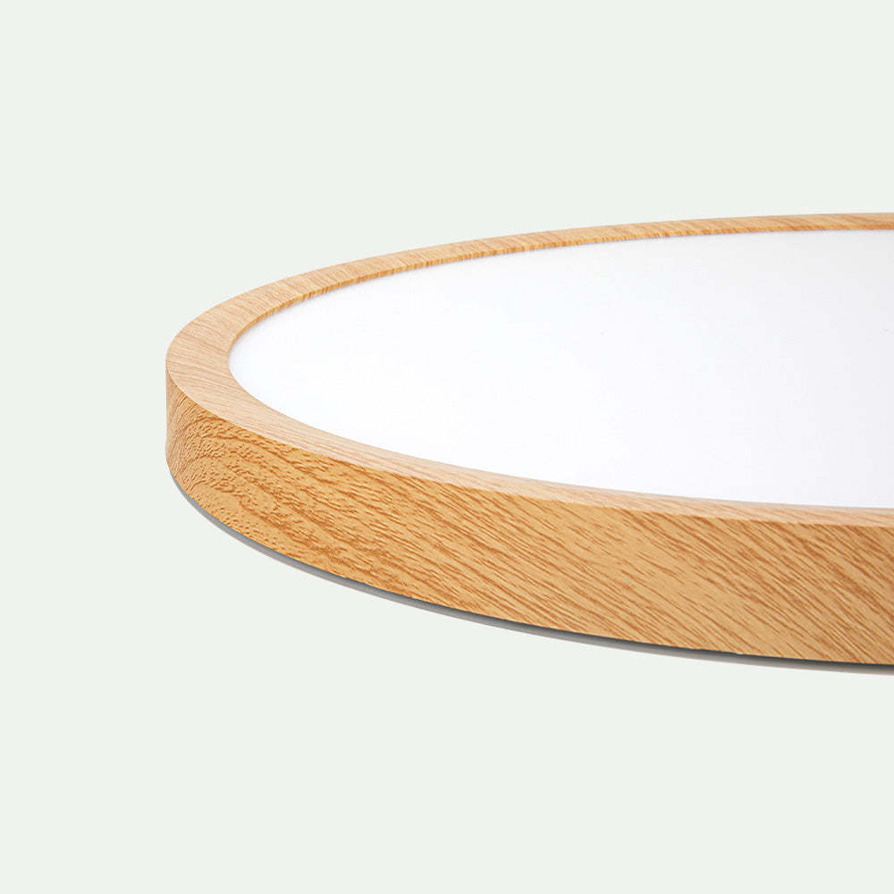 Nordic Round Simple Modern Ceiling Lamp