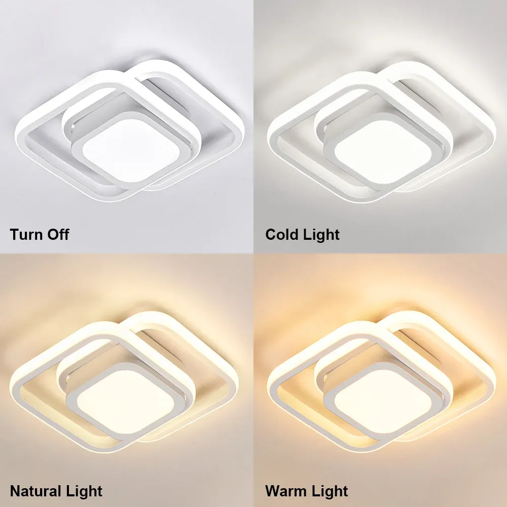 Double Ring Simple LED Ceiling Lamp