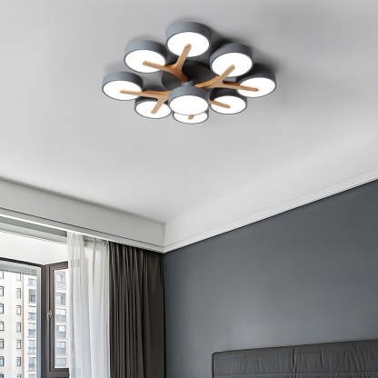 Contemporary Stylish Acrylic Living Room LED Ceiling Lights